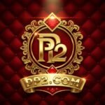 pp2game